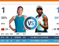 郑钦文赛点兑现，波士顿凯尔特人淘汰明尼苏达森林狼晋级四强，主帅激动落泪的简单介绍